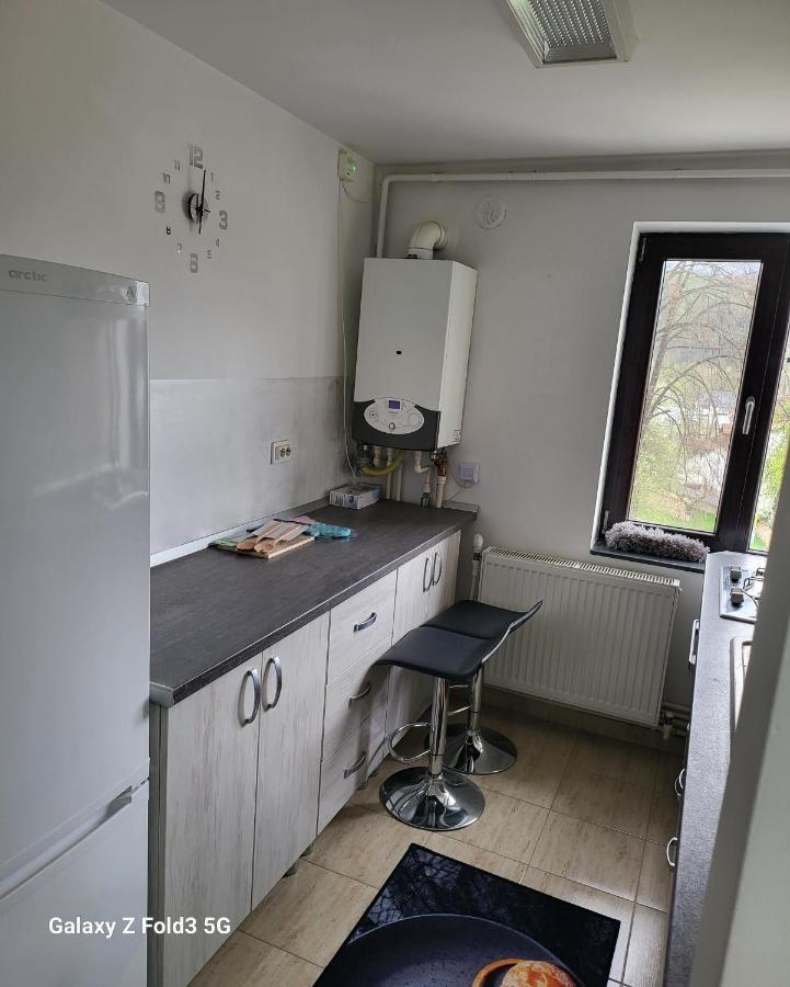 Apartmán Apartament In Bucovina, Campulung Moldovenesc, Impecabil . Exteriér fotografie