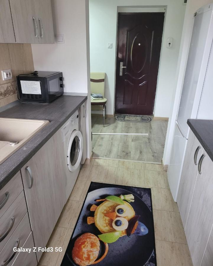 Apartmán Apartament In Bucovina, Campulung Moldovenesc, Impecabil . Exteriér fotografie