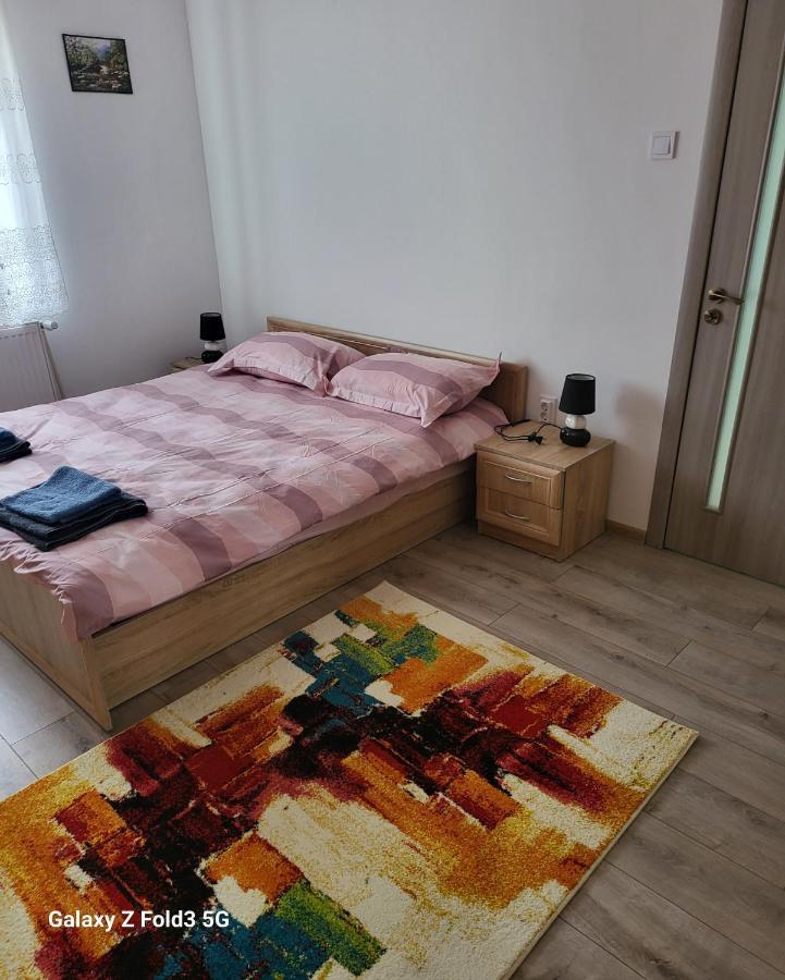 Apartmán Apartament In Bucovina, Campulung Moldovenesc, Impecabil . Exteriér fotografie